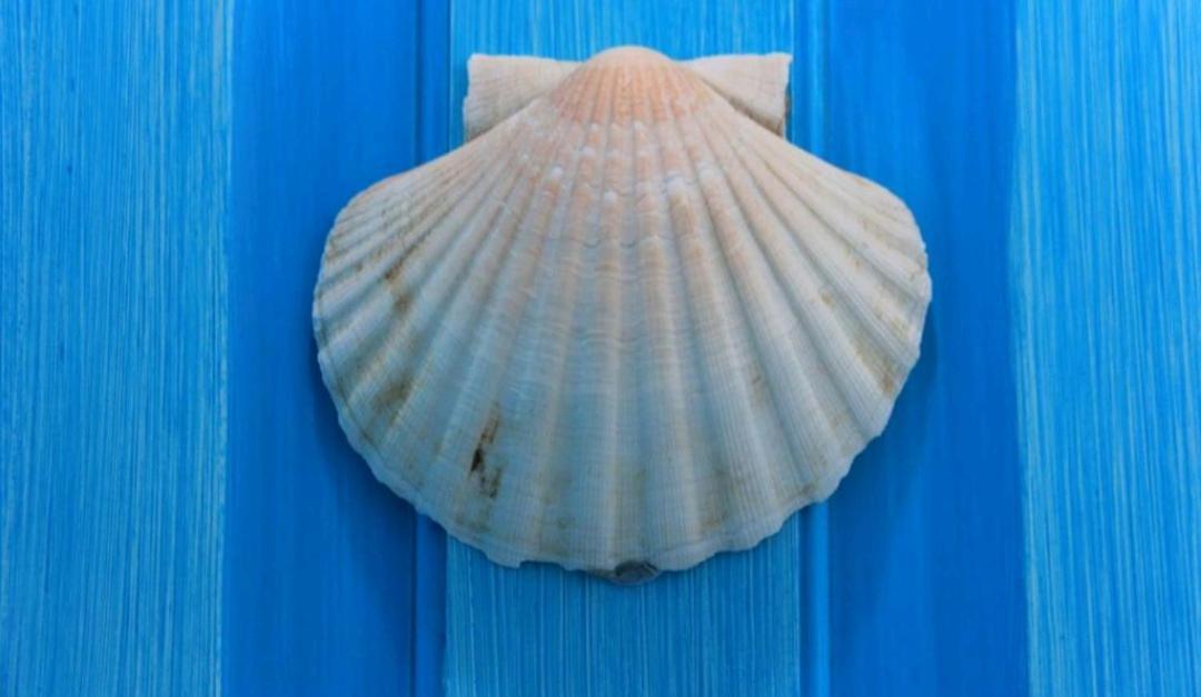 Il Re Tritone Villa Agropoli Dış mekan fotoğraf